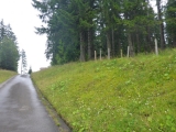 p1000782_1