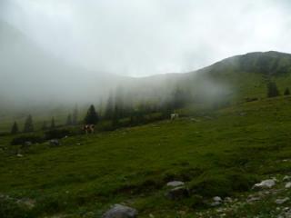 p1050447