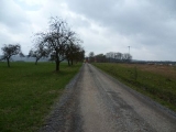 p1030564