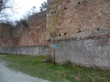p1030568