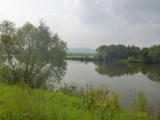 p1010373_1