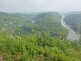 p1010412_1