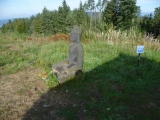 p1050871
