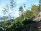 p1050888