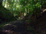 p1050920